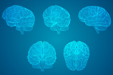 国产车没有实体按键吗