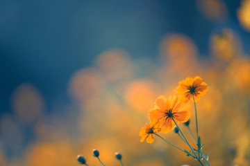 世界乒乓球最强代练