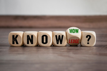 世界乒乓球最强代练