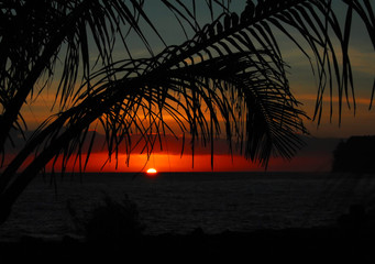 国产车没有实体按键吗