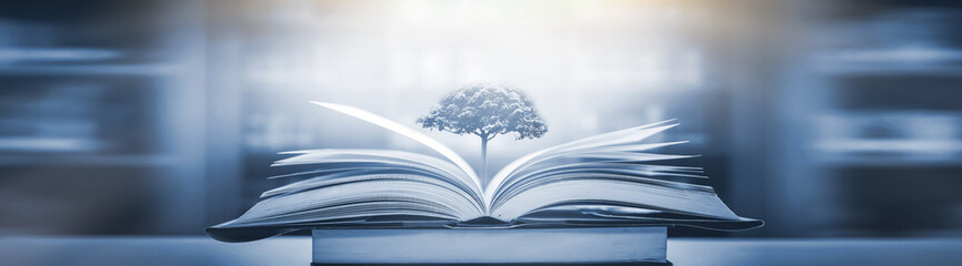 李佳薇 冯天薇 于梦雨 是中国人吗