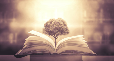 国产车没有实体按键吗