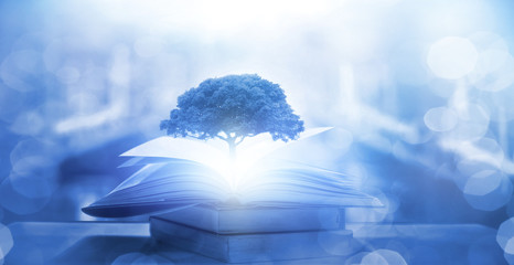 按揭买三十万左右的车三年时间月供多少