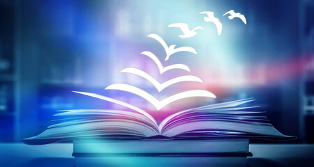 国产车在浙江能开吗