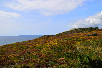 按揭买三十万左右的车三年时间月供多少