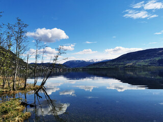 为什么很多乒乓球运动员胖胖的？