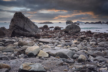 调料盒价格一般是多少