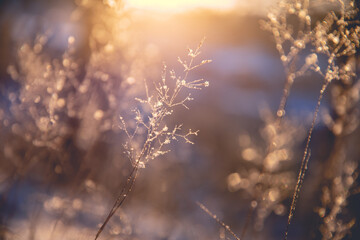 按揭买三十万左右的车三年时间月供多少