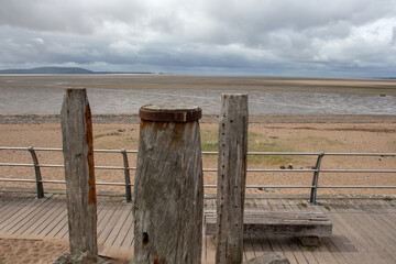 为什么很多乒乓球运动员胖胖的？