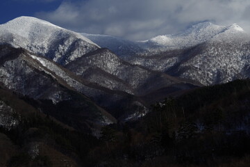 国产车方向盘紧
