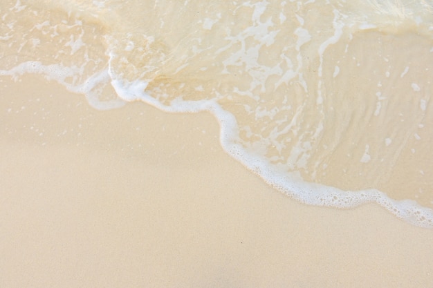 乒乓球单人赛有谁打