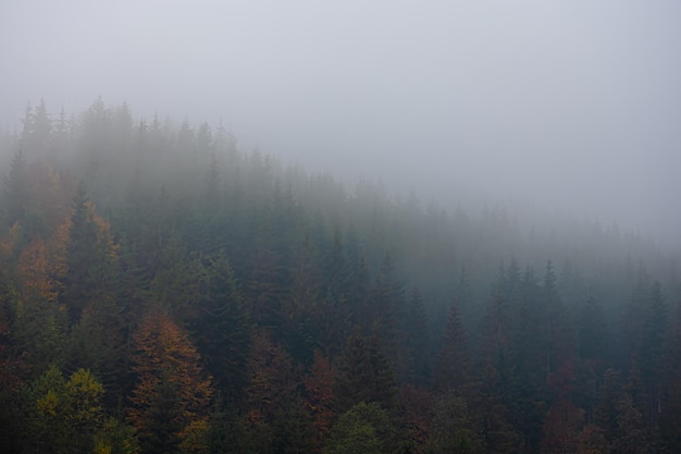 乒乓球单人赛有谁打