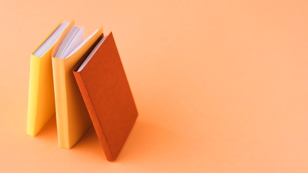 国产车低配版捷达