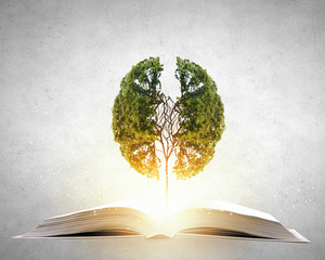 国产车在浙江能开吗