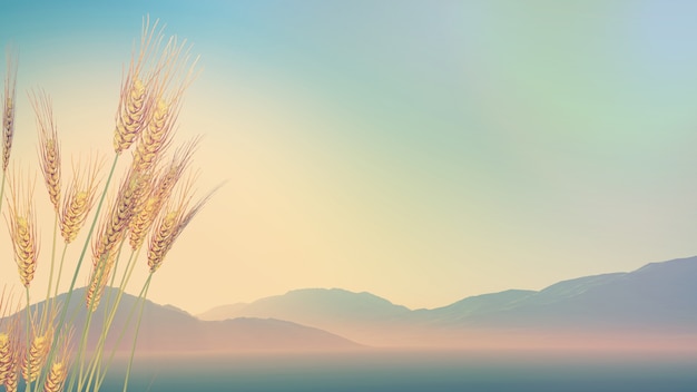 国产车没有实体按键吗