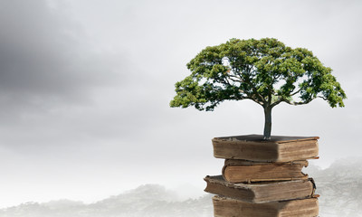 国产车在浙江能开吗