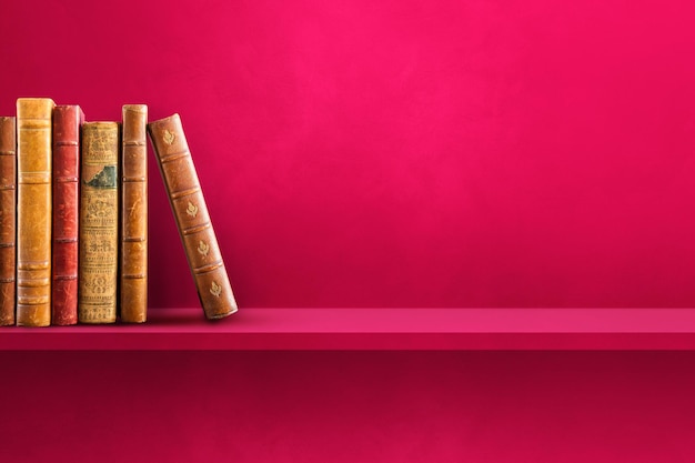 乒乓球单人赛有谁打