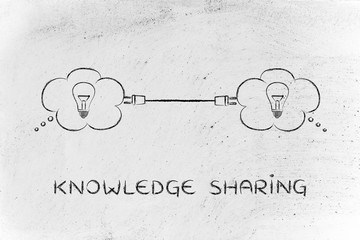 国产车实测耗油多少升