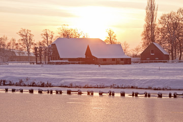 世界乒乓球最强代练