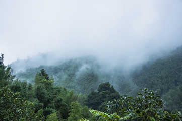 李佳薇 冯天薇 于梦雨 是中国人吗